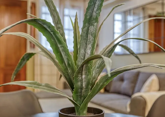 アパート Cosy 1br With Sofabed & Balcony In St'julians By 360 Estates Saint Julian's